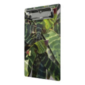 Vriesea Splendens Bromeliadの植物のストライプのな葉 ミニクリップボード (アングル2)