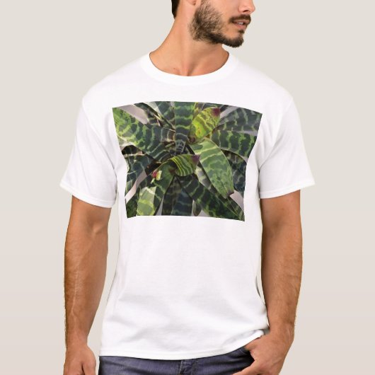 Vriesea Splendens Bromeliadの植物のストライプのな葉 Tシャツ (正面)