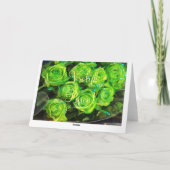 Vrolijk Pasen、オランダイースターカード、緑のバラ シーズンカード (裏面)