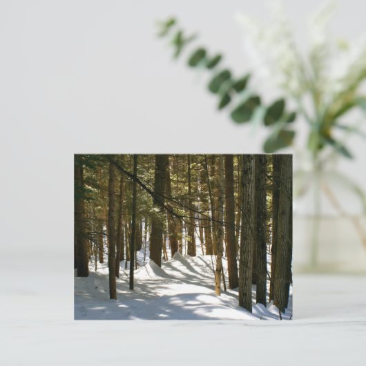 vt，キーキー ポストカード (スタンド正面)