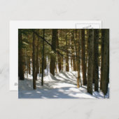 vt,キーキー ポストカード (正面/裏面)