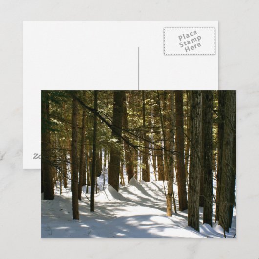 vt,キーキー ポストカード (正面/裏面)