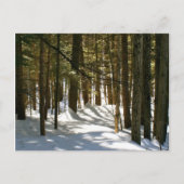 vt，キーキー ポストカード (正面)