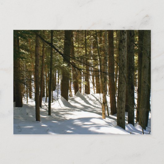 vt,キーキー ポストカード (正面)