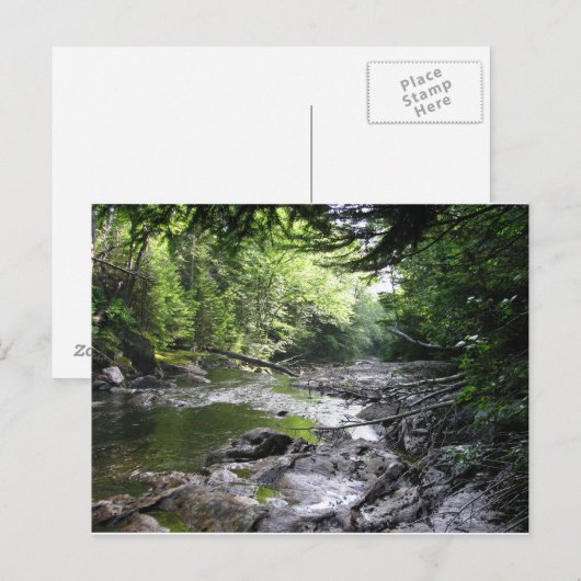 vt.サマセット ポストカード (正面/裏面)