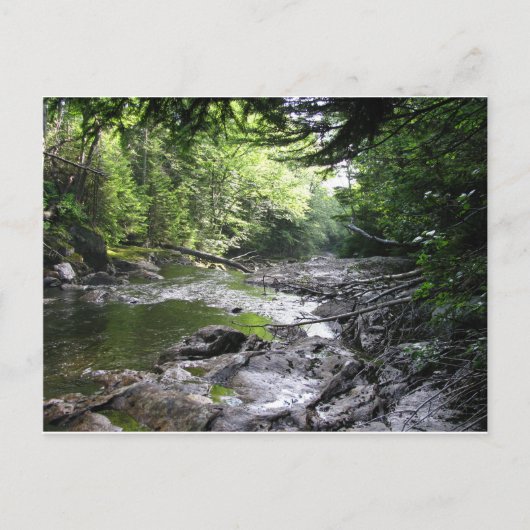 vt.サマセット ポストカード (正面)