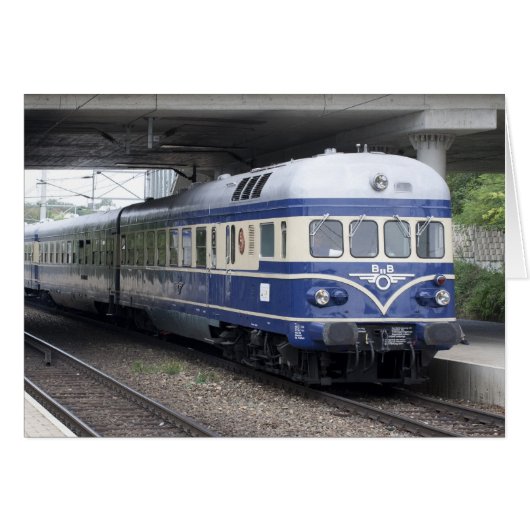 VT 5145ブラーーブリッツ (正面横)