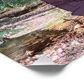 VTuber, Anime, Forrest,  ポスター (コーナー)