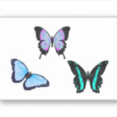 vyalの複数形 シール (正面)