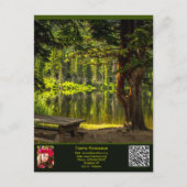 Vykort — Connect, Summer ポストカード (正面)