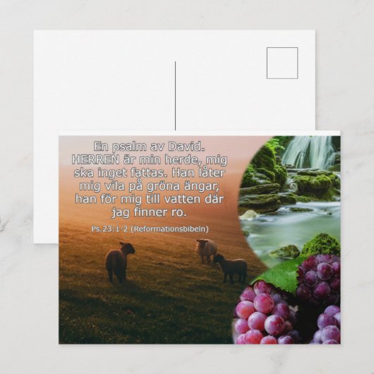 Vykort - Psalm 23 ポストカード (正面/裏面)