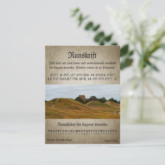 Vykort — Runskrift ポストカード (スタンド正面)