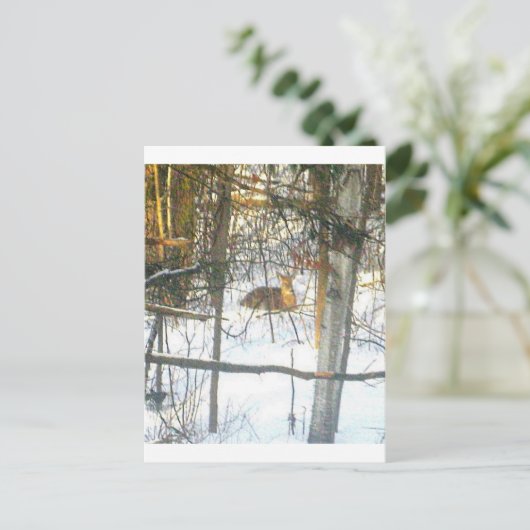 Wґtℯ✐♏ℴti√αtℯ ポストカード (スタンド正面)