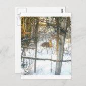 Wґtℯ✐♏ℴti√αtℯ ポストカード (正面/裏面)