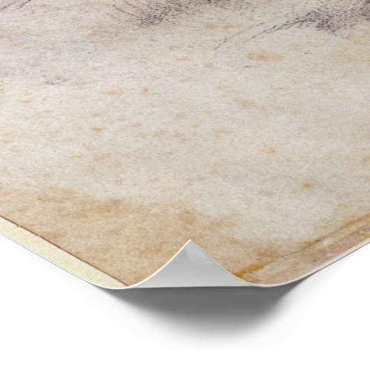 W.60 2箇所の男性頭部のスケッチ ポスター (角)