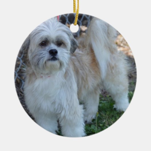 w/specialの写真のクリスマスツリーのオーナメントをカスタマイズ セラミックオーナメント (正面)