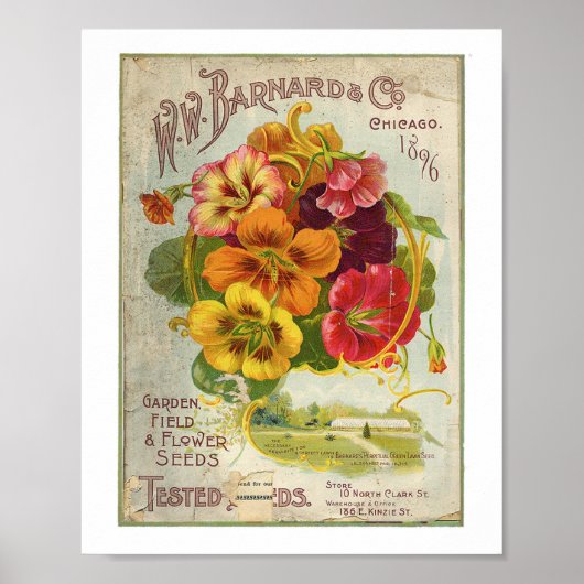 W.W Barnard & Co Garden, Field & Flower Seed 1896 ポスター (正面)