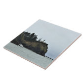 WAケープ失望ライトハウス タイル (側面)