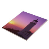 WAケープ失望州パーク北頭2 タイル (側面)