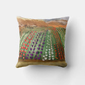 WAスカギットバレーチューリップフィールド春夢 クッション (裏面)