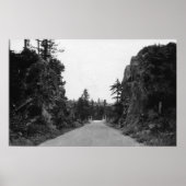 WAビュー北岸高速道路Stevenson Pass ポスター (正面)