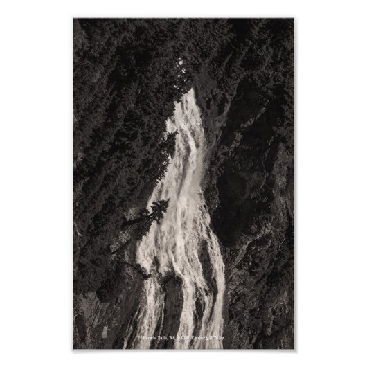 WA秋 フォトプリント            (正面)