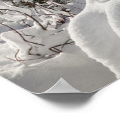 WA、アルパインレイクスウィルダネス、雪湖流域 ポスター (角)