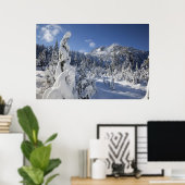 WA、アルパインレイクスウィルダネス、雪湖流域 ポスター (ホームオフィス)