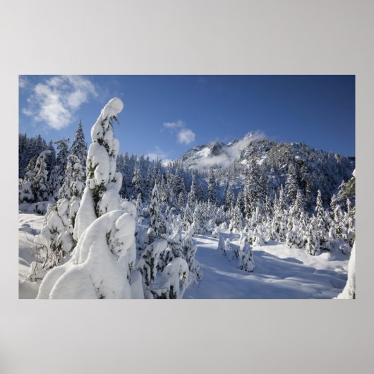 WA、アルパインレイクスウィルダネス、雪湖流域 ポスター (正面)