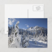 WA、アルパインレイクスウィルダネス、雪湖流域 ポストカード (正面/裏面)