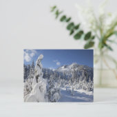 WA、アルパインレイクスウィルダネス、雪湖流域 ポストカード (スタンド正面)