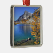 WA，アルペンレイクスワイルドネス，エンチャント4 メタルオーナメント (右)