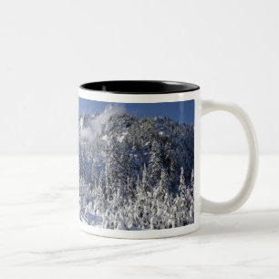 WA、アルペンレイクスワイルドネス、スノーレイクベイスン ツートーンマグカップ