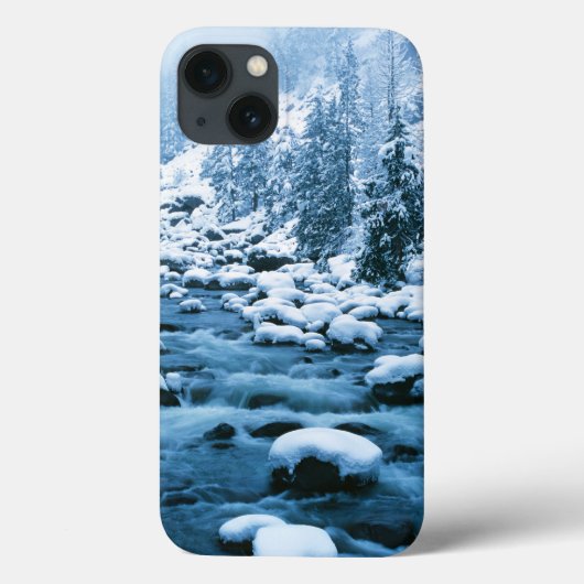 WA、ウェナチー国有林、カスケード Case-Mate iPhoneケース (裏面)