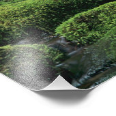 WA、オリンピックNP、ソルダックバレー、ストリーム フォトプリント            (角)