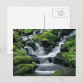 WA、オリンピックNP、ソルダックバレー、ストリーム ポストカード (正面/裏面)