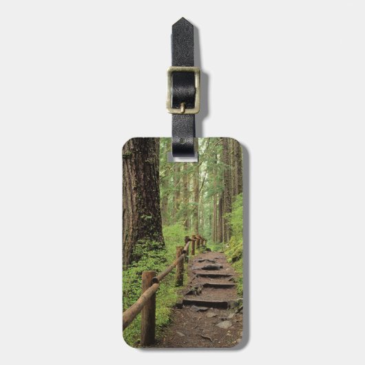 WA、オリンピックNP、ソル·ドゥック·バレー、熱帯雨林 ラゲッジタグ (正面縦)