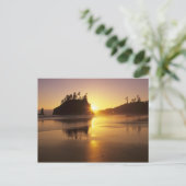 WA、オリンピックNP、日没の第2ビーチ ポストカード (スタンド正面)