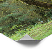 WA、オリンピックNP、Hoh Rain Forest、ホール ポスター (角)