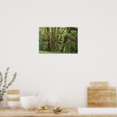 WA、オリンピックNP、Hoh Rain Forest、ホール ポスター (キッチン)