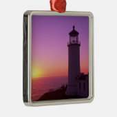 WA、ケープ失望州パーク、北頭2 メタルオーナメント (右)