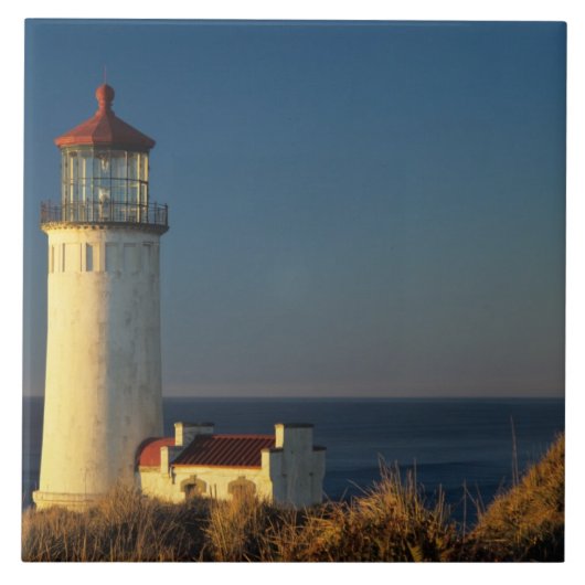 WA、ケープ失望州パーク、北頭 タイル (正面)