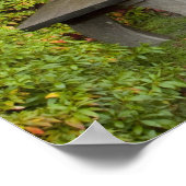 WA，シアトル，ワシントンパークアルボレトゥム， 2 ポスター (角)