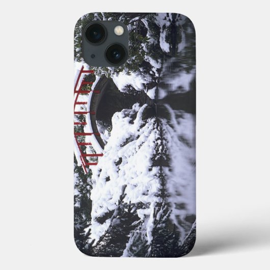 WA、シアトル、月の橋と池、冬の2日後 Case-Mate iPhoneケース (裏面)