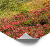 WA、ヘザーメドウズレクリエーションエリア、山2 ポスター (角)