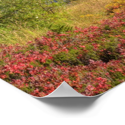 WA、ヘザーメドウズレクリエーションエリア、山2 ポスター (角)