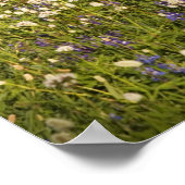 WA、ベーカー荒野の山、秋山 ポスター (角)