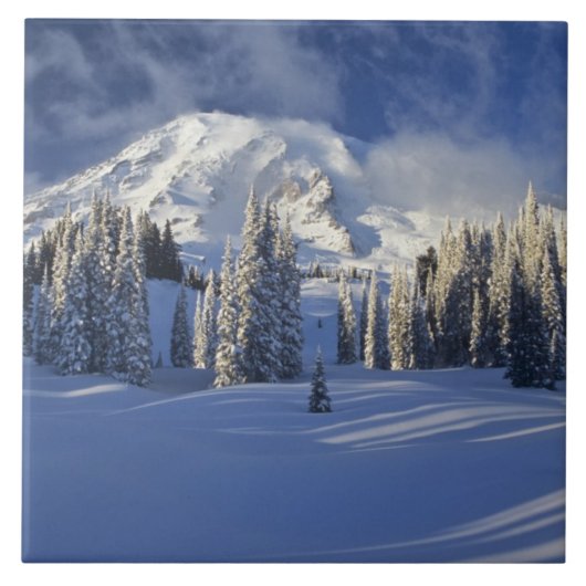 WA、レイニエ山NP、レイニエ山とパラダイス タイル (正面)