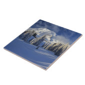 WA、レイニエ山NP、レイニエ山とパラダイス タイル (側面)