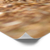 WA，レドモンド，イースタンコットンテールベビーウサギ ポスター (角)